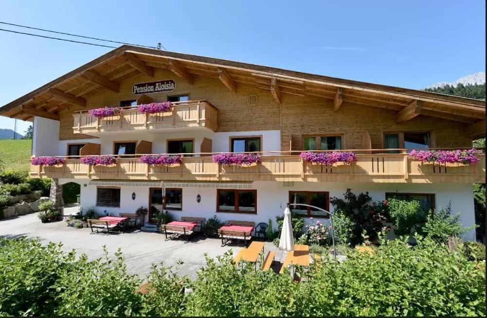 Pension Aloisia Scheffau am Wilden Kaiser Exteriör bild