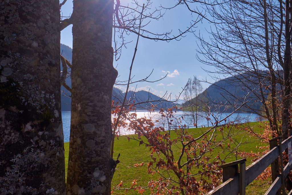 Pension Aloisia Hotell Scheffau am Wilden Kaiser Exteriör bild