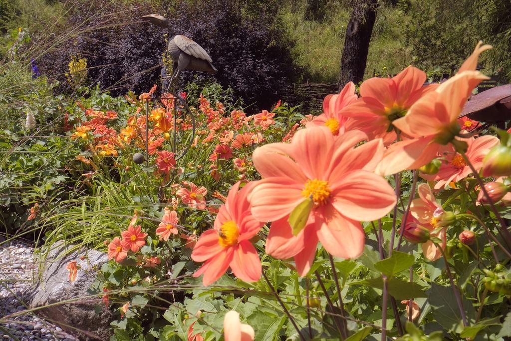 Pension Aloisia Scheffau am Wilden Kaiser Exteriör bild