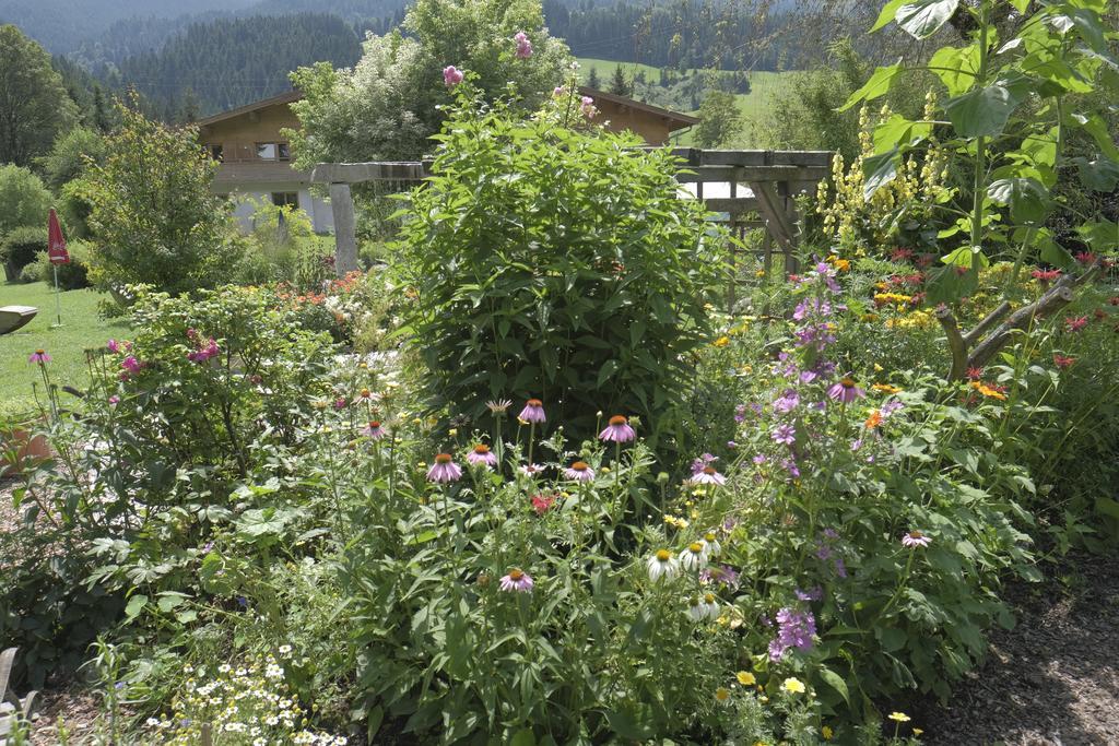 Pension Aloisia Scheffau am Wilden Kaiser Exteriör bild