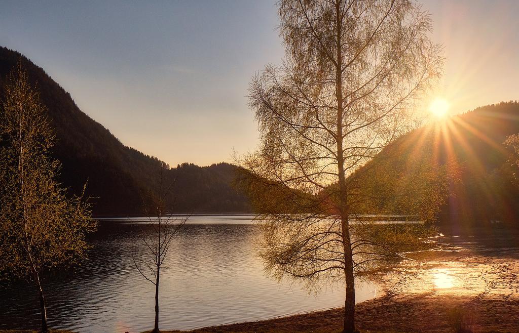 Pension Aloisia Hotell Scheffau am Wilden Kaiser Exteriör bild