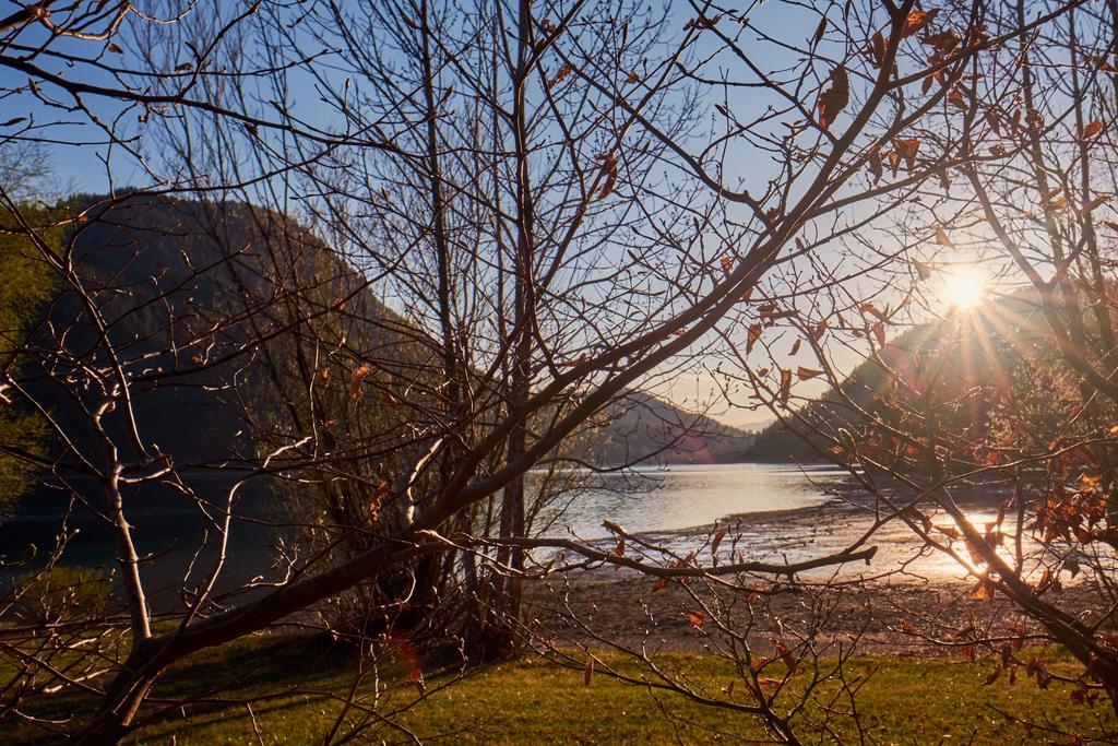 Pension Aloisia Hotell Scheffau am Wilden Kaiser Exteriör bild