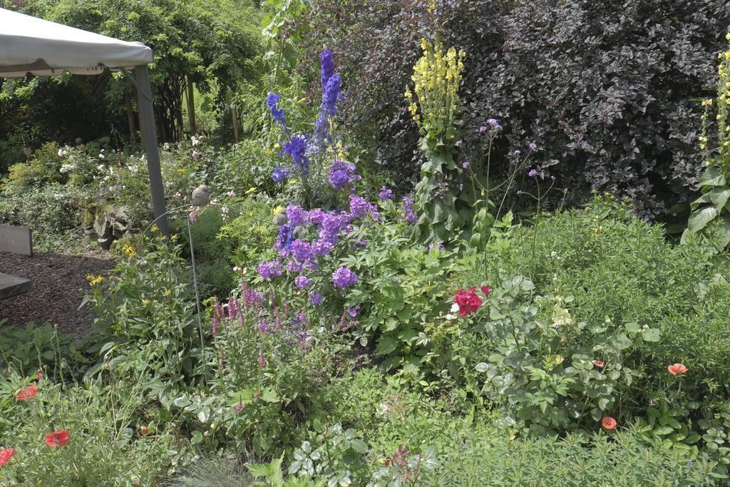 Pension Aloisia Scheffau am Wilden Kaiser Exteriör bild