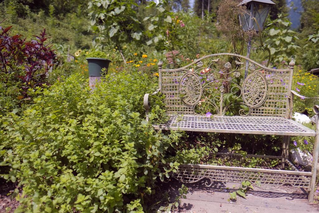 Pension Aloisia Scheffau am Wilden Kaiser Exteriör bild