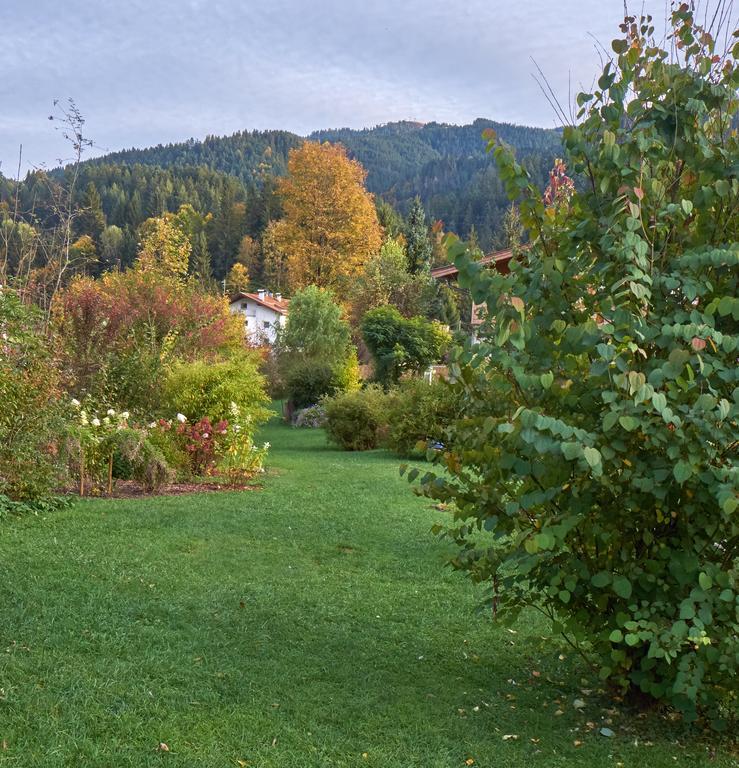 Pension Aloisia Hotell Scheffau am Wilden Kaiser Exteriör bild